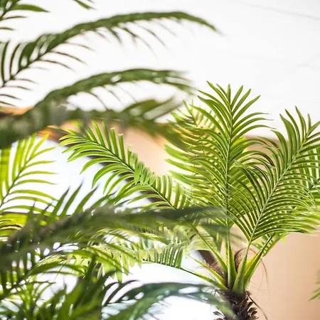 Lejlighed Le Rioumajou 3 - T3bis - Proche Telecabine - Acces Piscine Interieure A Proximite